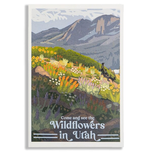 POSTCARD UTAH WILDFLOWERS LIESL CANNON